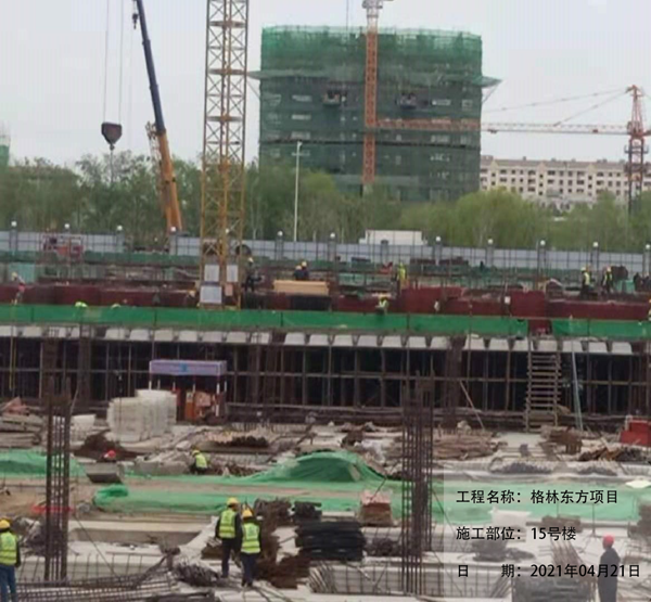 格林东方2021年4月21日工程进度(图3)